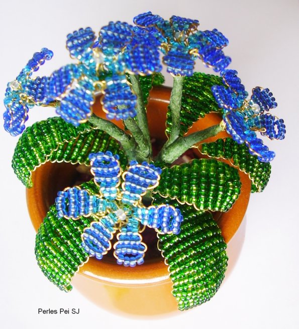 fleur-bleu-3