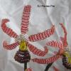 orchidee-suzie-2